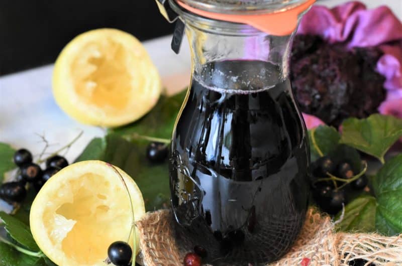 Niezawodny przepis na sok z czarnego bzu - Najlepszy Przepis! Sok Z Czarnego Bzu Thermomix