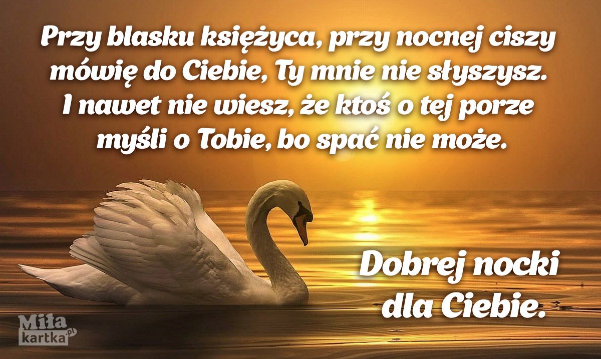Mysli Cytaty Zlote Mysli Na Dobranoc