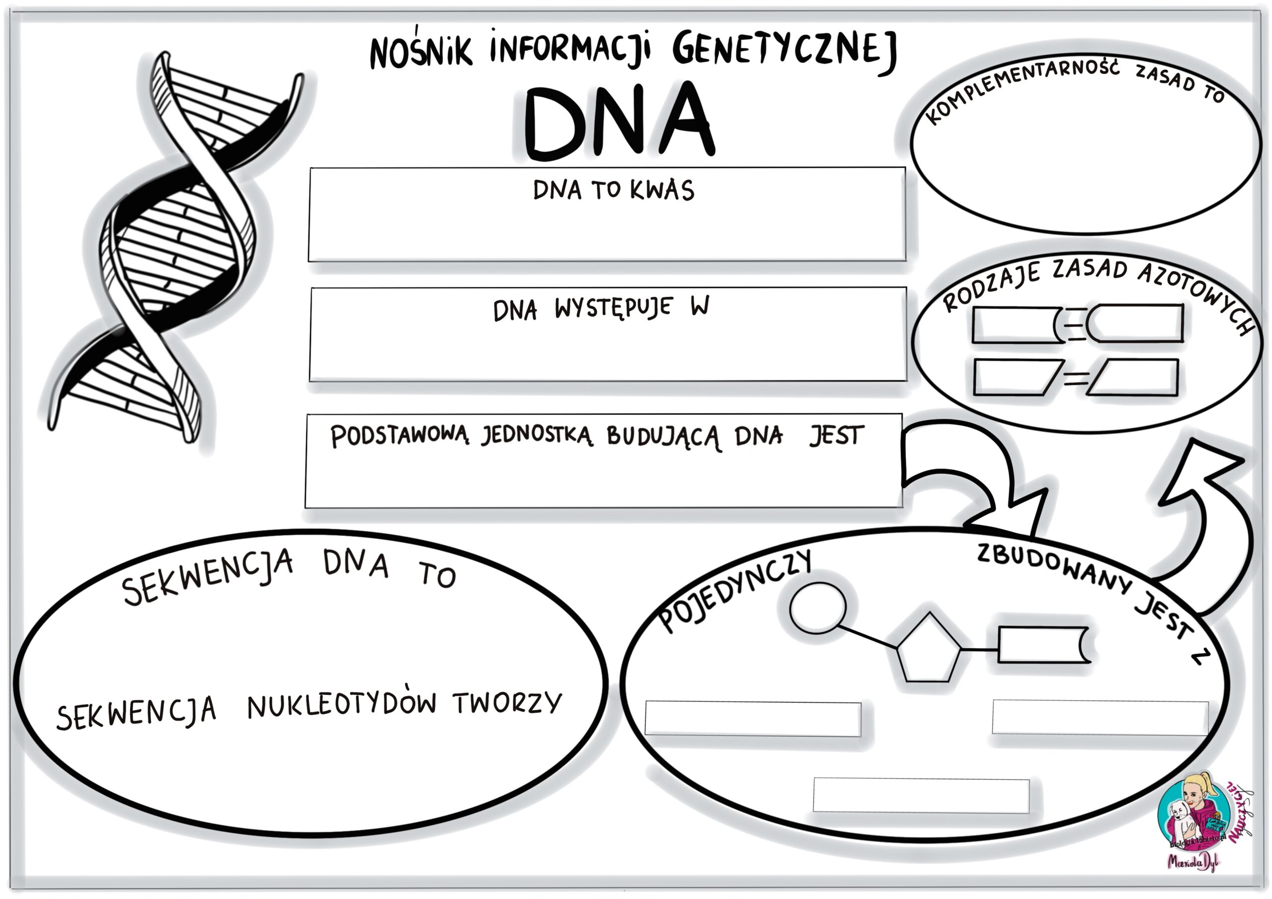 Nośnik informacji genetycznej DNA- karta pracy klasa 8 • Złoty nauczyciel Kartkowka Biologia Klasa 8 Dna