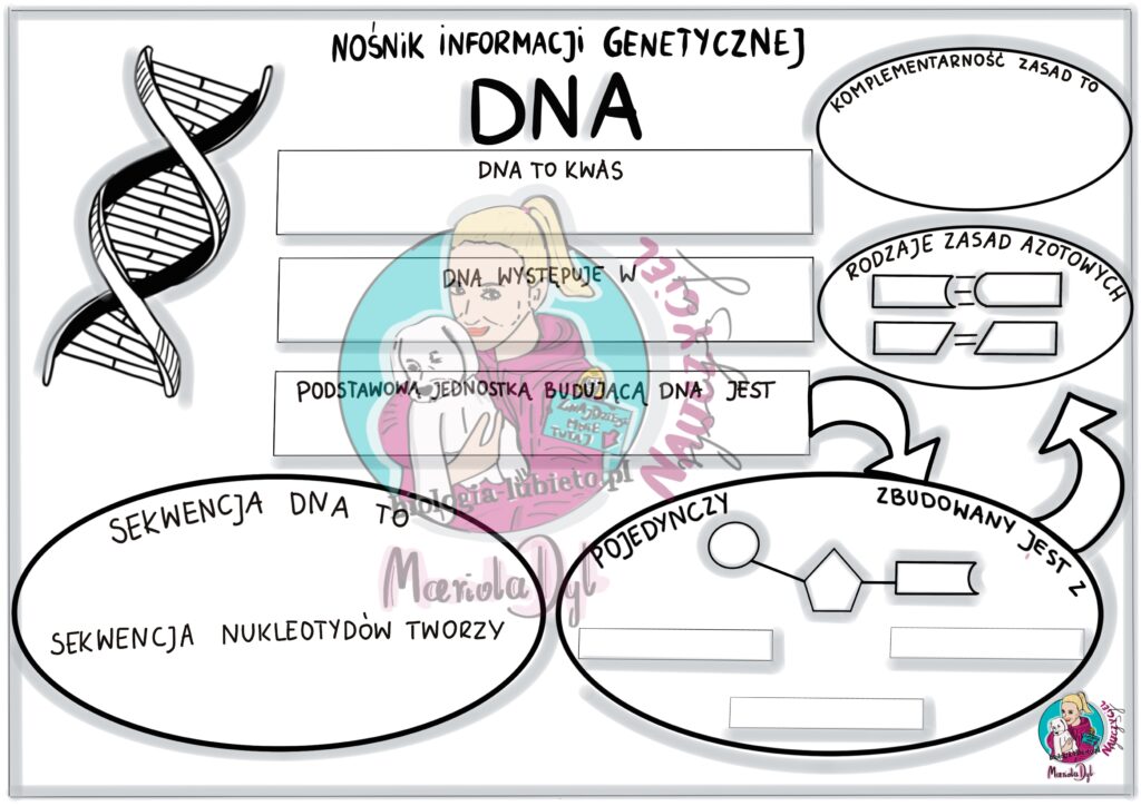 Nosnik Informacji Genetycznej Dna Kartkwka