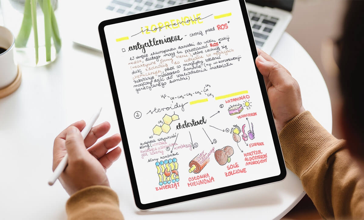 Notatki do matury z biologii Notatki Z Biologii Rozszerzonej Pdf