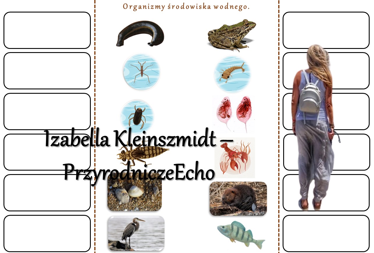 Notatki okienkowe/stacje zadaniowe/notatki/notatki graficzne/karty Odkrywamy Tajemnice Zycia Klasa 4