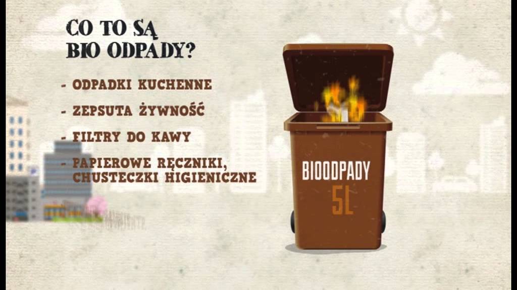 Zasady Prowadzenia Gospodarki Odpadami W Przedsiębiorstwie