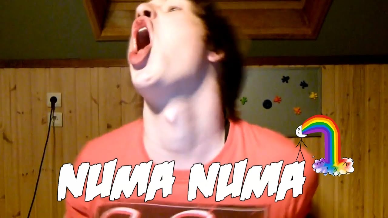 Numa Numa Jej Numa Numa Jej Numa Numa Numa Jej