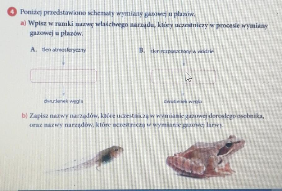 O Poniżej przedstawiono schematy wymiany gazowej u plazów.a) Wpisz w Narzad Wymiany Gazowej U Gadow