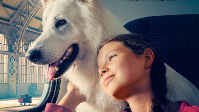O PSIE KTÓRY JEŹDZIŁ KOLEJĄ | Kino Sokół O Psie Ktory Jezdzil Koleja Ile Stron