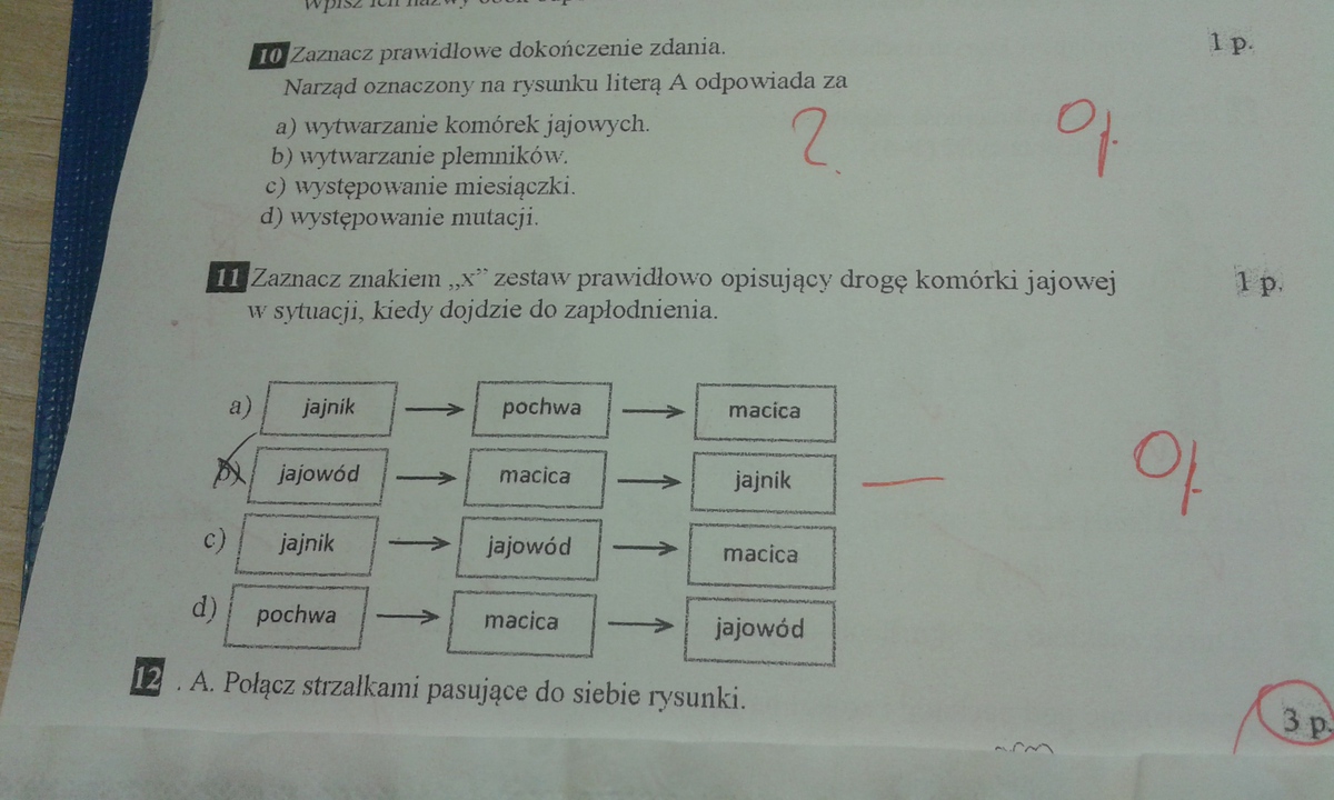Obejrzyj Zdjęcie I Uzupełnij Zdania