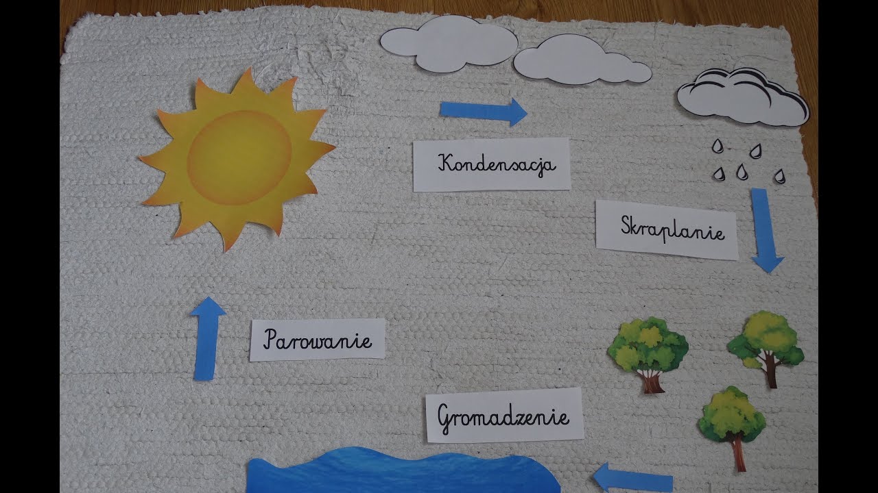 Na Czym Polega Obieg Tlenu W Przyrodzie