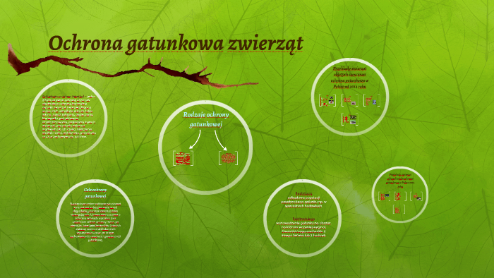 Ochrona Dzikich Zwierząt W Polsce