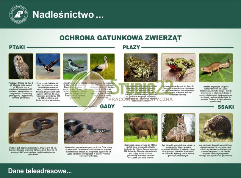 Ochrona Gatunkowa Roslin Zwierzat I Grzybw