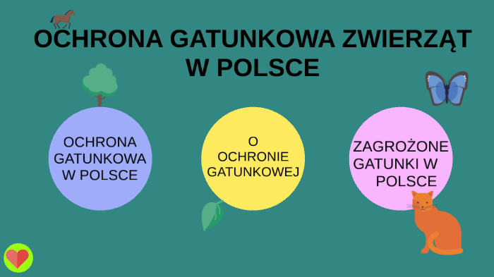 OCHRONA GATUNKOWA ZWIERZĄT W POLSCE by Amelia Toruń on Prezi Ochrona Gatunkowa W Polsce Obejmuje Czesciowa Lub Scisla Ochrona Gatunku