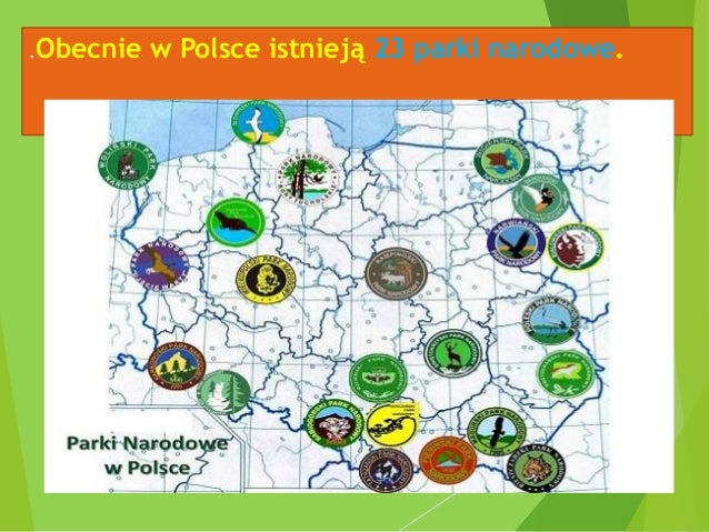 Ochrona przyrody w lp Sprawdzian Z Biologii 1 Liceum Ochrona Przyrody