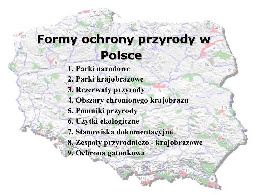 Ochrona przyrody w Polsce Jak Chronimy Przyrodę W Polsce