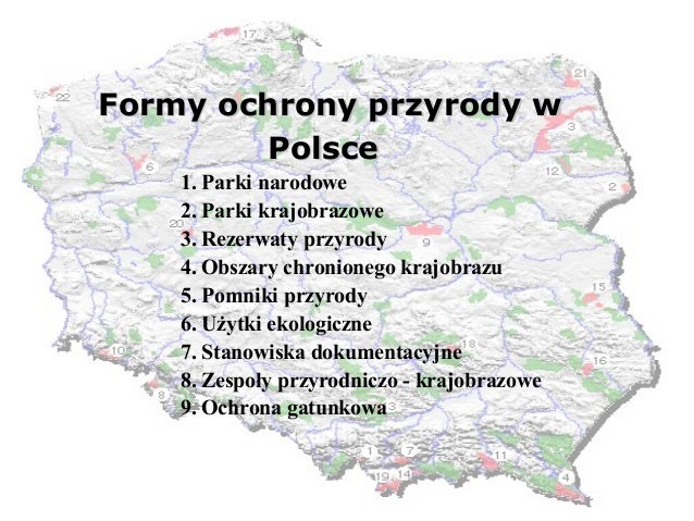 Międzynarodowe Formy Ochrony Przyrody W Polsce