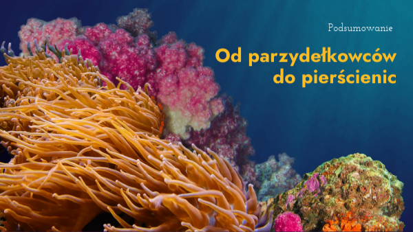 Od parzydełkowców do pierścienic Od Parzydelkowcow Do Pierscienic