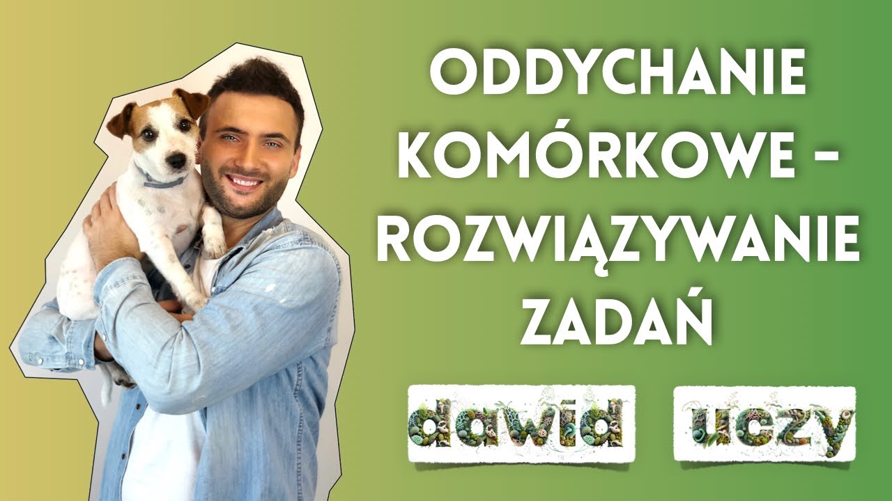 Oddychanie komórkowe - rozwiązywanie zadań - YouTube Oddychanie Komórkowe Zachodzi W