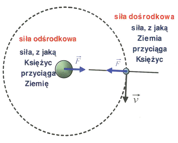 Oddziaływania i siły | AleKlasa Oddzialywania I Sily Fizyka