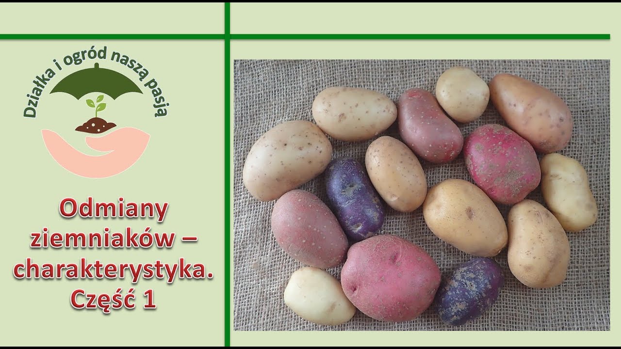 Stowarzyszenie Polskich Producentów Ziemniaków I Warzyw