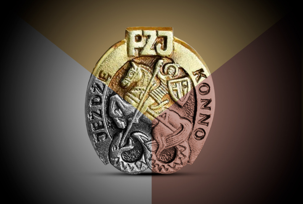 Co Trzeba Umieć Na Odznakę Jeżdżę Konno