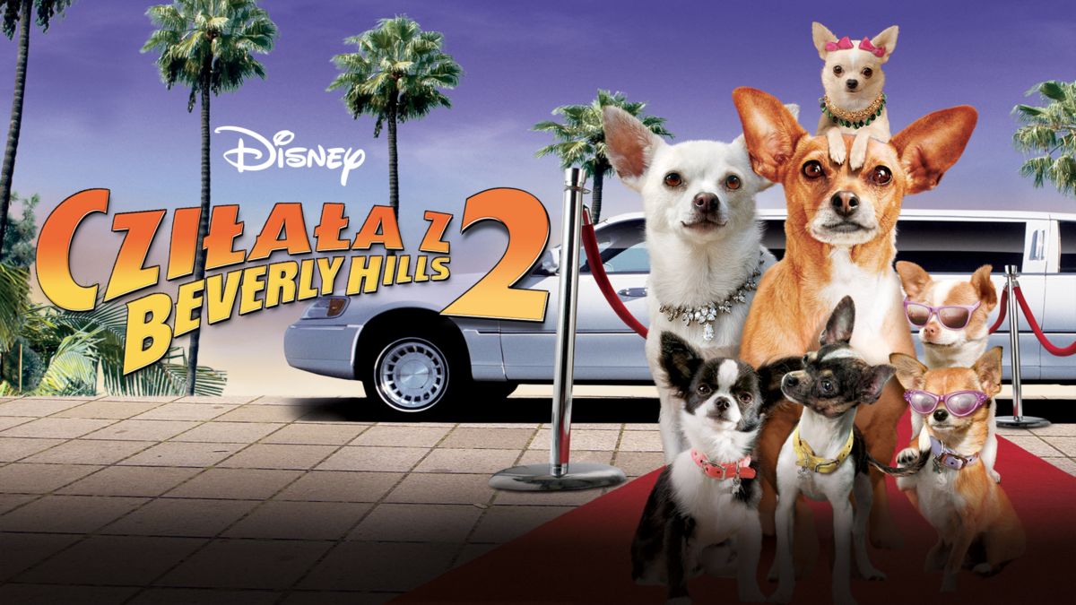 Film Czilala Z Beverly Hills 1 Po Polsku Cda