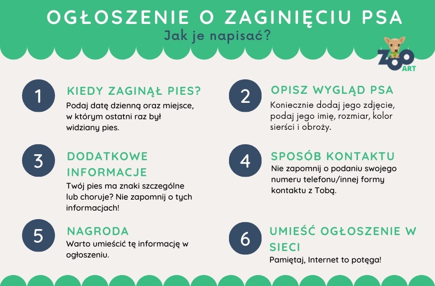 Ogłoszenie o zaginięciu psa – jak i kiedy je napisać? - Blog ZooArt Jak Napisać Ogłoszenie O Zaginięciu Psa