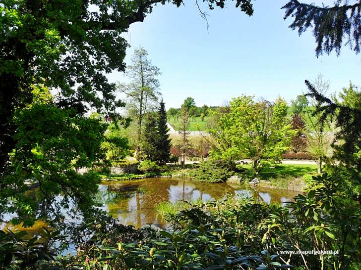Ogród Botaniczny - Arboretum - Wojsławice Ogród Botaniczny Poznań Ceny Biletów