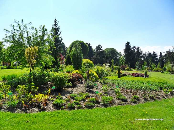Ogród Botaniczny - Arboretum - Wojsławice Ogród Botaniczny Chłopcy Z Placu Broni