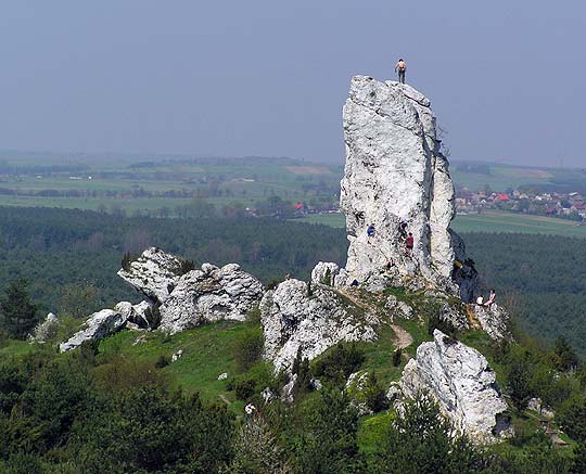 Ojcowski Park Narodowy: Wyżyna Krakowsko-Częstochowska Wyzyna Krakowsko Czestochowska Film Edukacyjny