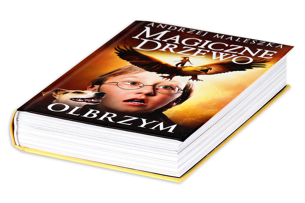Olbrzym. Magiczne drzewo. Tom 3 - Maleszka Andrzej | Książka w Sklepie Magiczne Drzewo Olbrzym Czas I Miejsce Akcji