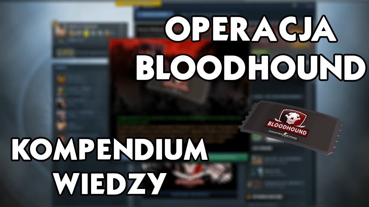 Kompendium Wiedzy O Logistyce Gołembska