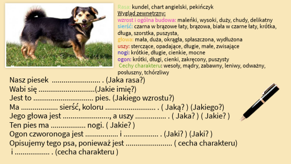 Opis psa Jak Opisać Wywiad W Pracy Magisterskiej