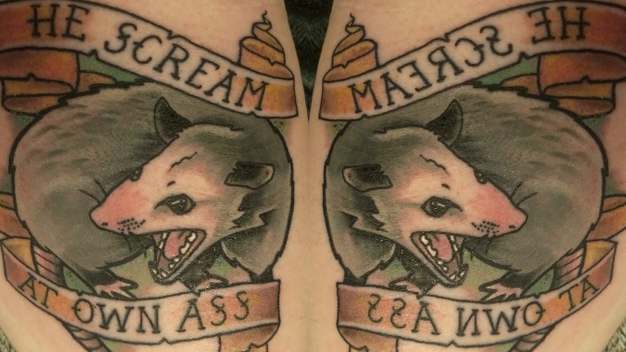 Opossum Scream At Own Ass