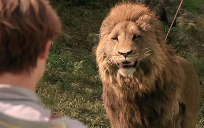 Opowieści z Narnii: Lew, czarownica i stara szafa (2005) - Filmweb Opowieści Z Narnii Lew Czarownica I Stara Szafa Bohaterowie