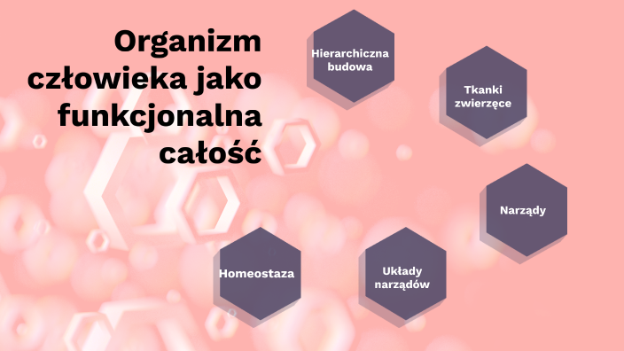 Organizm człowieka jako funkcjonalna całość by Sylwia Kaniewska on Prezi Budowa I Funkcje Tkanki Nabłonkowej
