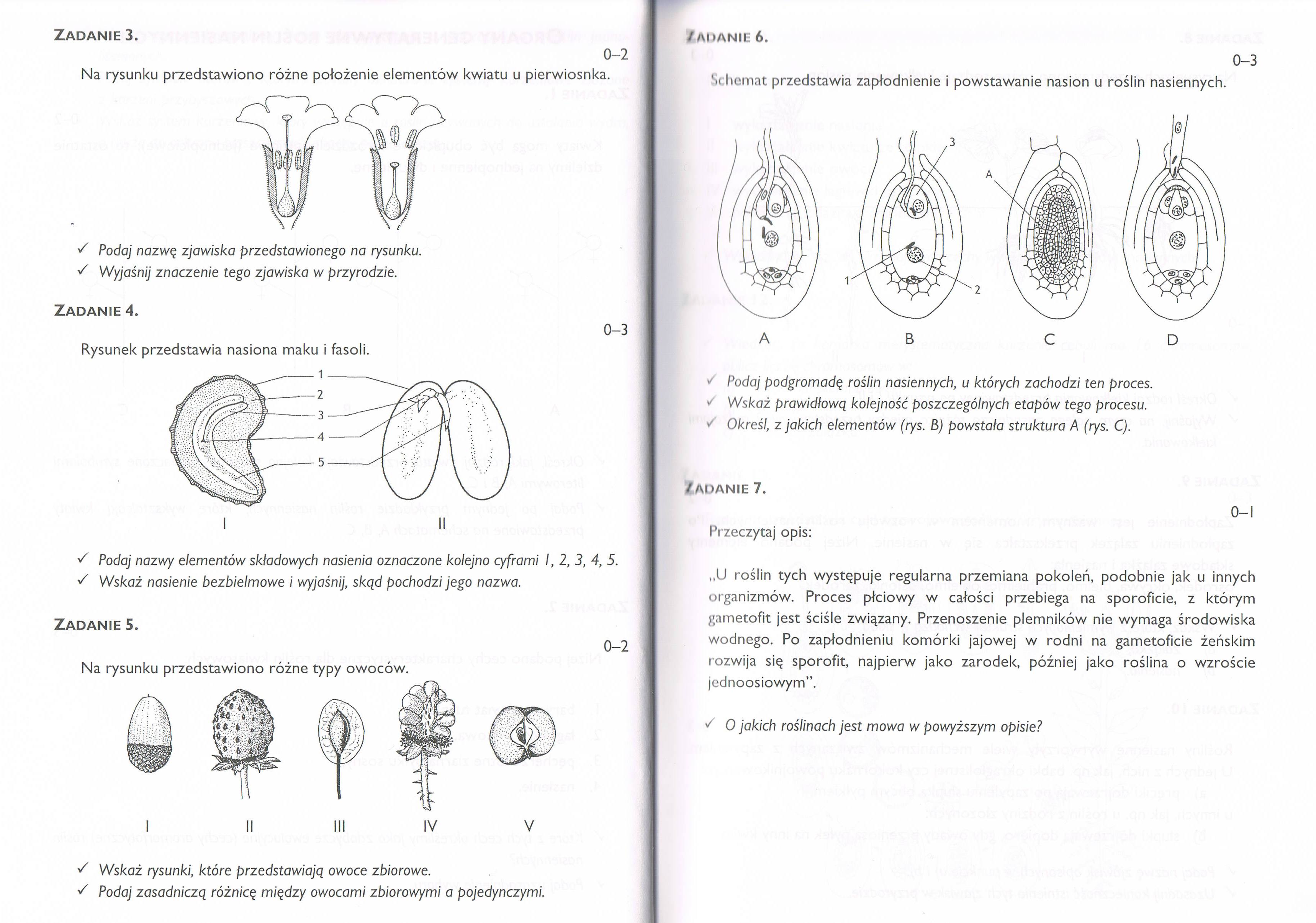 Organy generatywne ro C5 9Blin nasiennych 2 Sprawdzian Z Biologii świat Roślin
