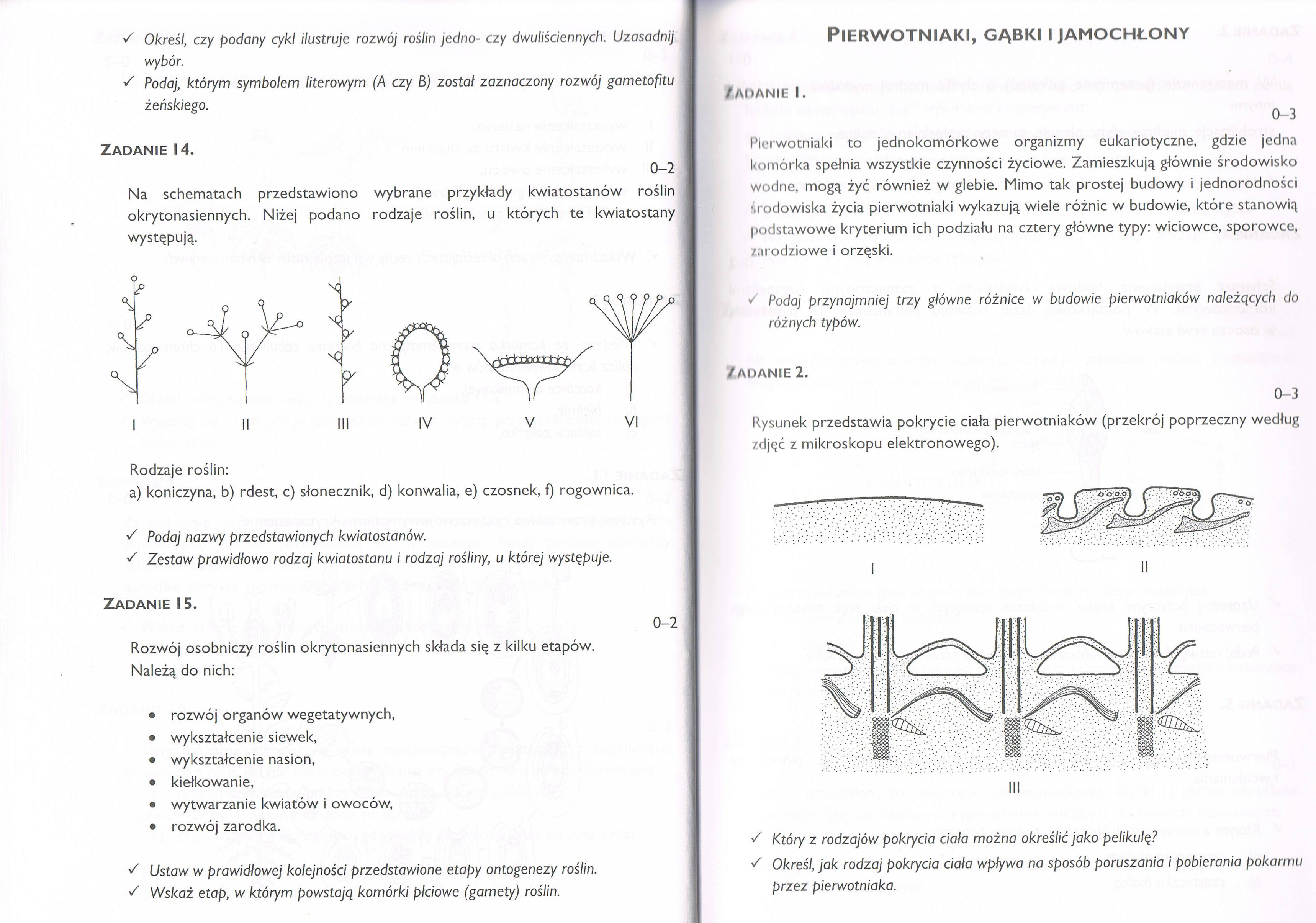 Organy generatywne ro C5 9Blin nasiennych 4 Atlas Do Rozpoznawania Roslin