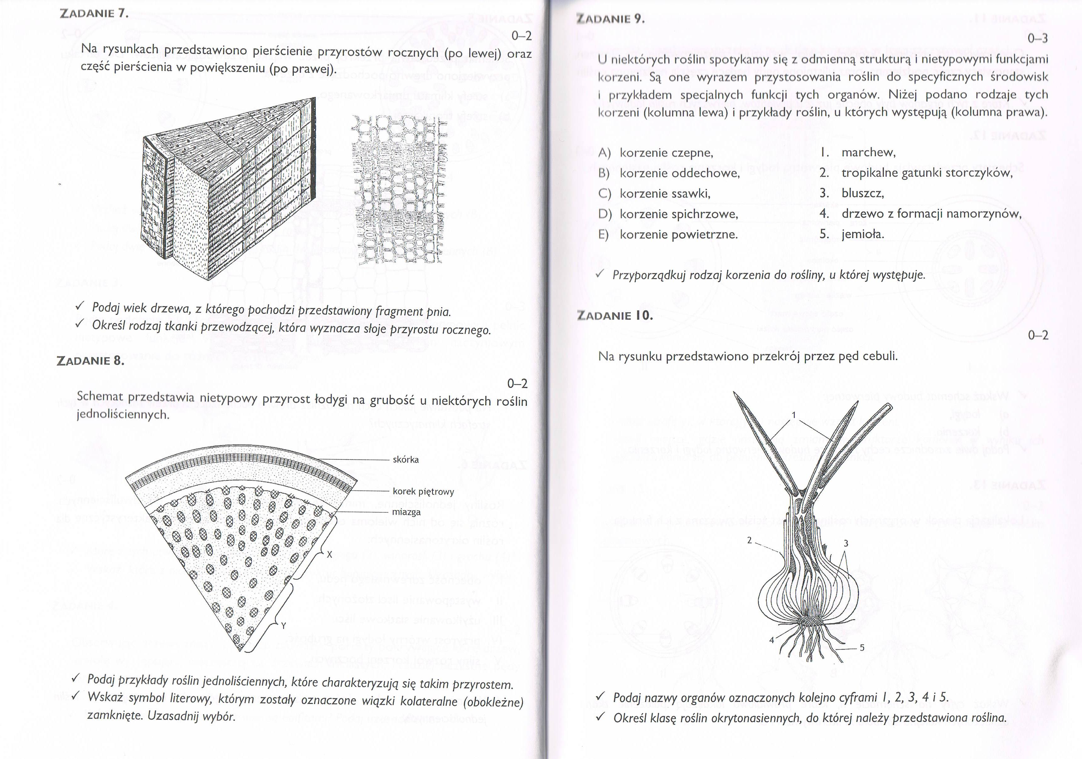 Organy wegetatywne ro C5 9Blin nasiennych 3 Atlas Do Rozpoznawania Roslin