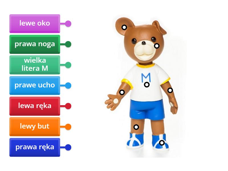 Orientacja Budynku Względem Stron świata
