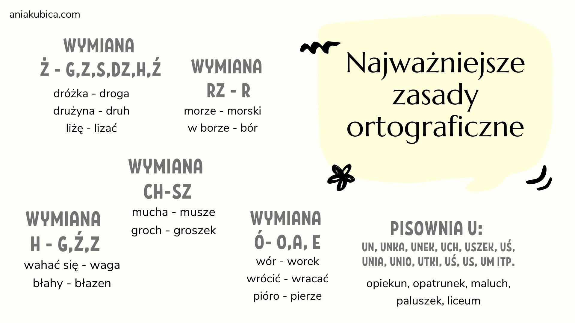 Wszystkie Zasady Ortograficzne Test