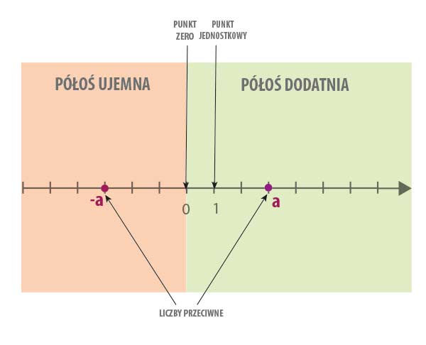Oś liczbowa - Medianauka.pl Podpisz Punkty Zaznaczone Na Osi Liczbowej