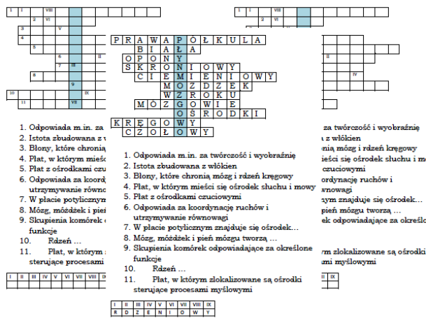 Układ Nerwowy Sprawdzian Klasa 7
