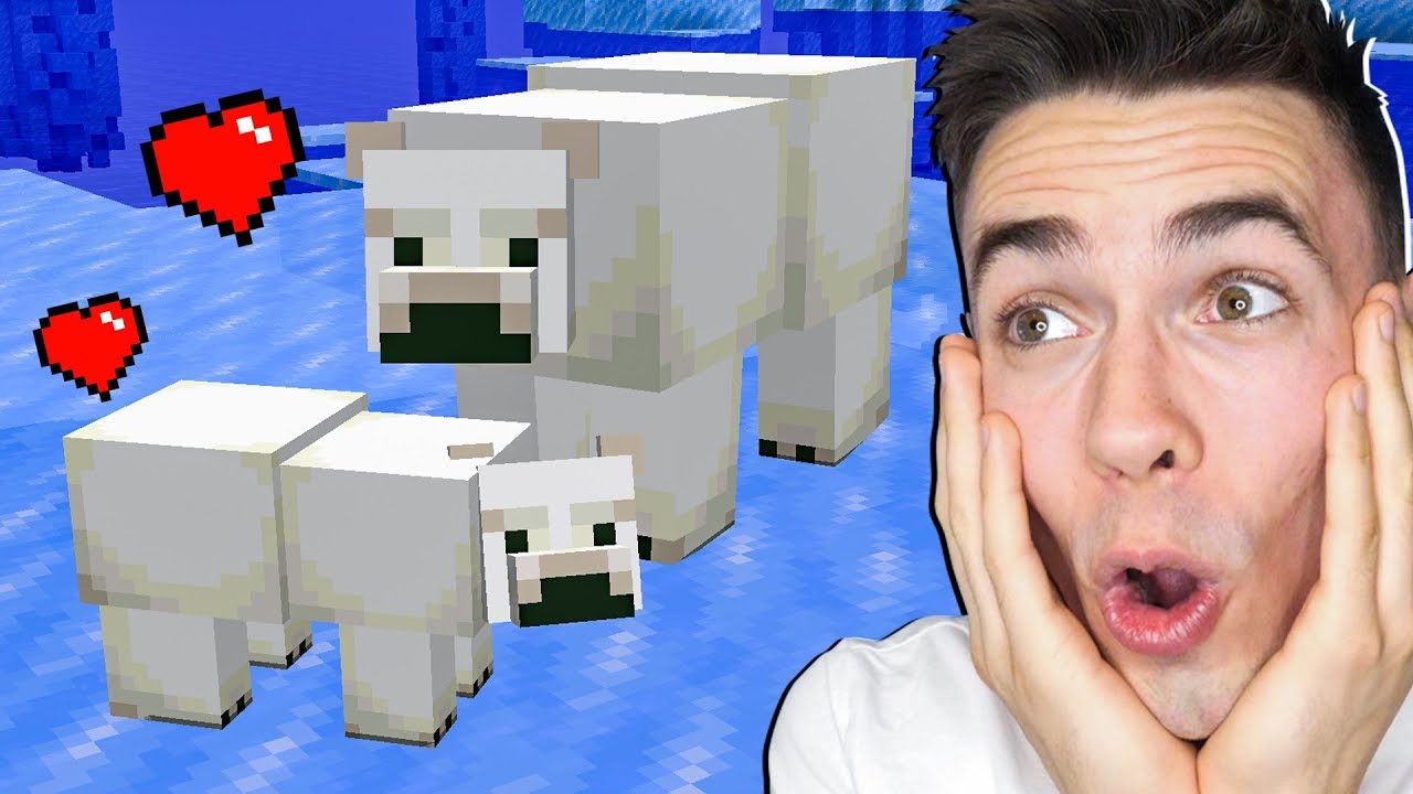 Oswoiłem NIEDŹWIEDZIA POLARNEGO w Minecraft! - YouTube Jak Oswoić Niedźwiedzia Polarnego W Minecrafcie