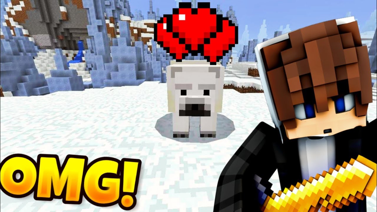 Co Jedza Niedzwiedzie Polarne W Minecraft