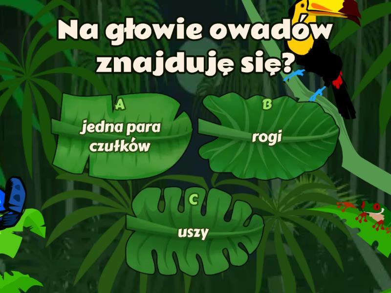 Owady-stawonogi zdolne do lotu - Test Owady Stawonogi Zdolne Do Lotu