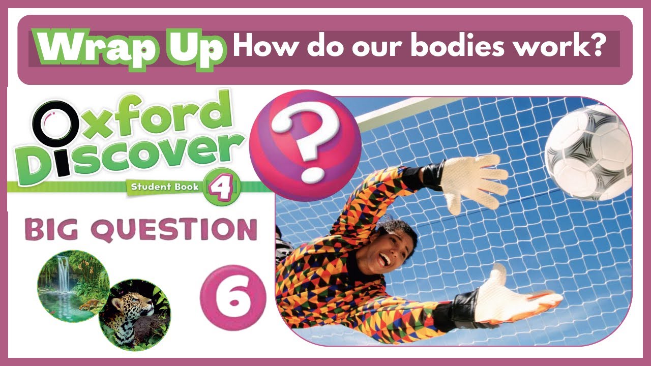 Oxford Discover 4 | Big Question 6 | How do our bodies work? | Wrap Up Oxford Link Klasa 4 Nagrania Do Cwiczen