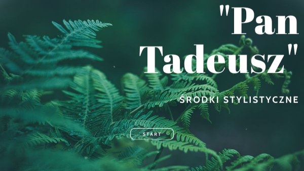 środki Stylistyczne W Panu Tadeuszu