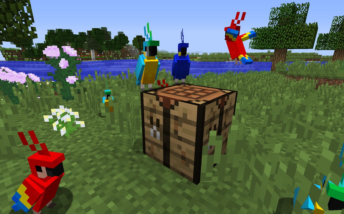 Papugi | Minecraft Wiki | Fandom Jak Rozmnożyć Papugi W Minecraft