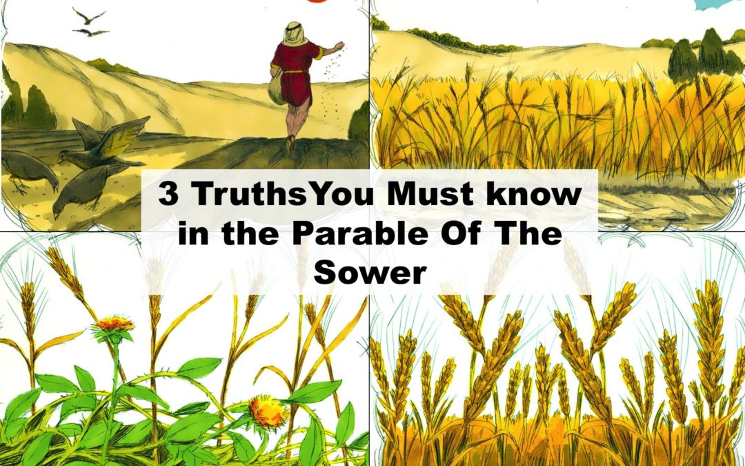 Parable Of The Sower Parable Of The Sower Chapter 14 Summary