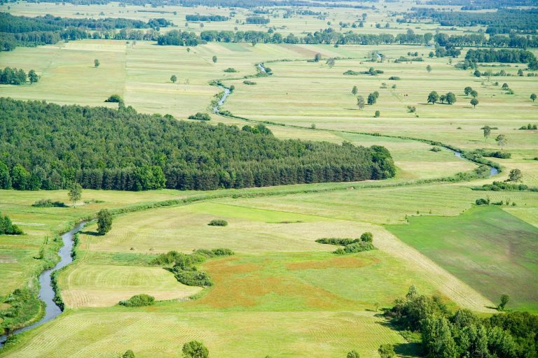 Pas nizin | Geografia24.pl Jaki Krajobraz Dominuje Na Nizinach Mazowieckich
