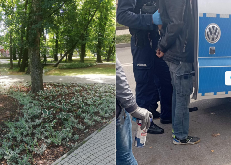 Pedofil z Parku Strzeleckiego przyznał się do wszystkiego. Nie trafił Elusive Child Protection Unit Poland
